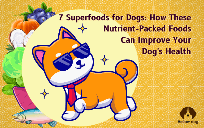 7 Superfoods for Dogs