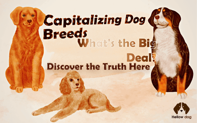 Capitalizing Dog Breeds