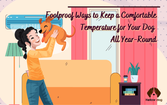 Comfortable Temperature for Your Dog