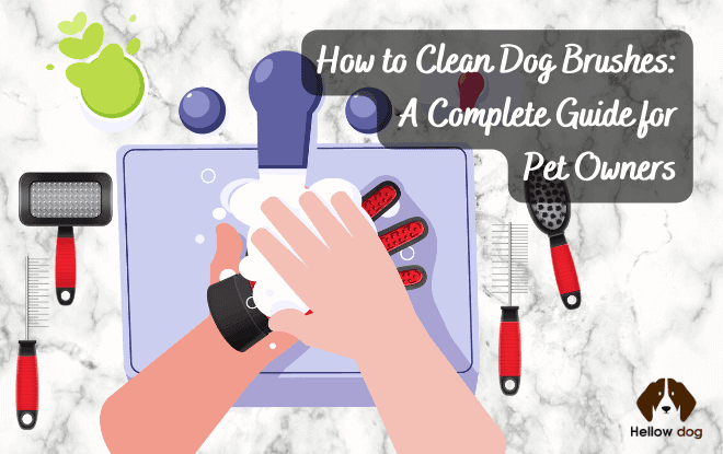 How to Clean Dog Brushes