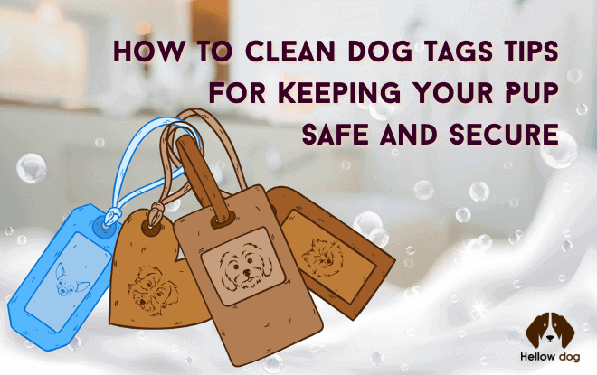 How to Clean Dog Tags