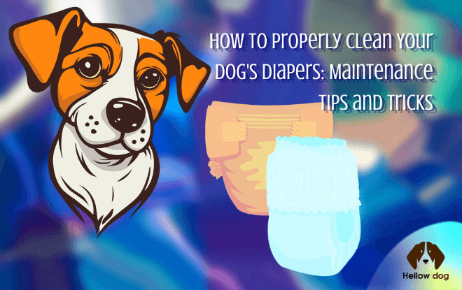 How to Properly Clean Your Dog's Diapers Maintenance Tips and Tricks