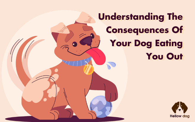 Understanding the Consequences of Your Dog Eating You Out