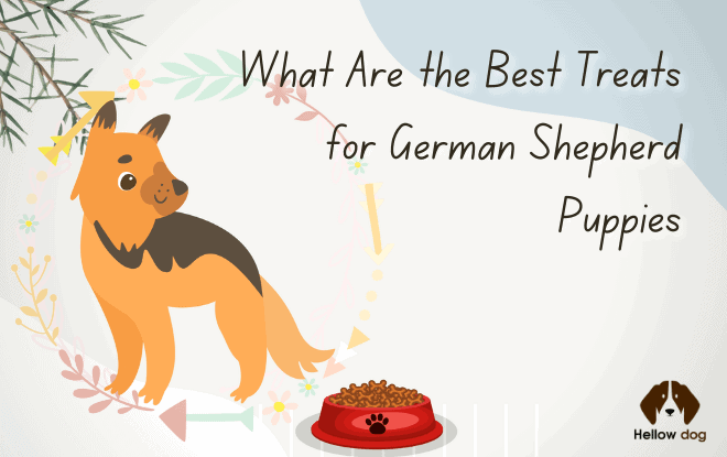 What Are the Best Treats for German Shepherd Puppies