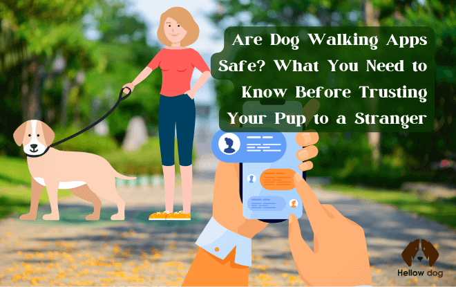 Are Dog Walking Apps Safe