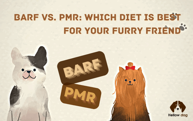 BARF vs. PMR Which Diet is Best for Your Furry Friend