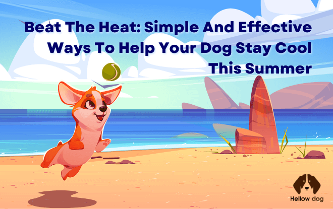 Beat the Heat Simple and Effective Ways to Help Your Dog Stay Cool this Summer