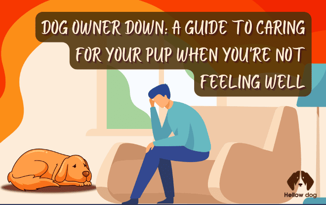 A Guide to Caring for Your Pup When You're Not Feeling Well,