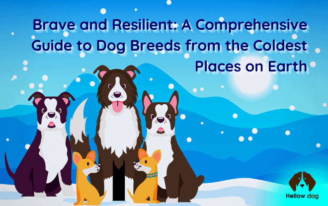 Dog Breeds from the Coldest Places on Earth
