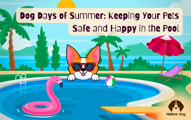 Dog Days of Summer Keeping Your Pets Safe and Happy in the Pool