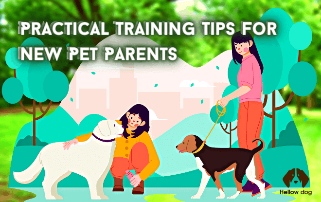 Practical Training Tips for New Pet Parents