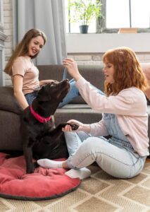 An image showing a new pet parent introducing their furry companion to another friendly animal or person. Socialization is an essential aspect of training for new pet parents, as it helps their pets become comfortable and well-behaved around other animals and people.