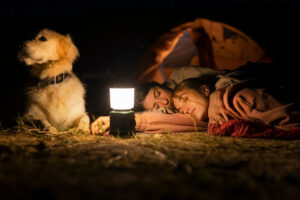 Glamping with dog: An enchanting evening by the bonfire, camper bonding with their canine companion under twinkling fairy lights.
