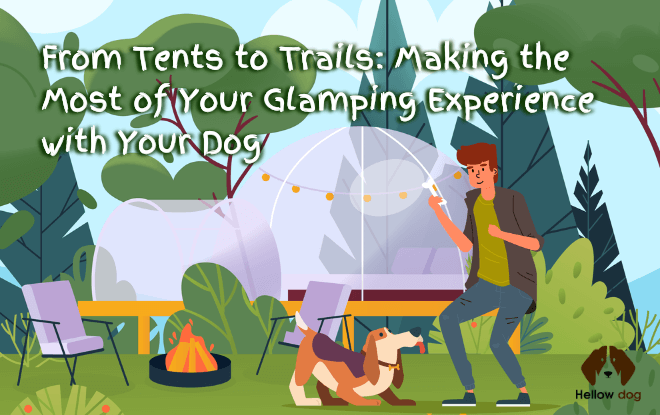 Glamping with dog: A picturesque glamping site with a happy camper and their dog, surrounded by nature, ready for an adventure.