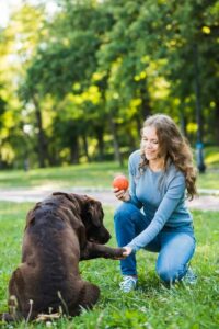 A dog owner using positive reinforcement to train commands.