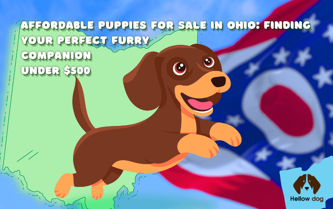 Cute puppies for sale in Ohio under $500