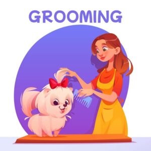 Image of a person brushing a Pomeranian's coat with a slicker brush
