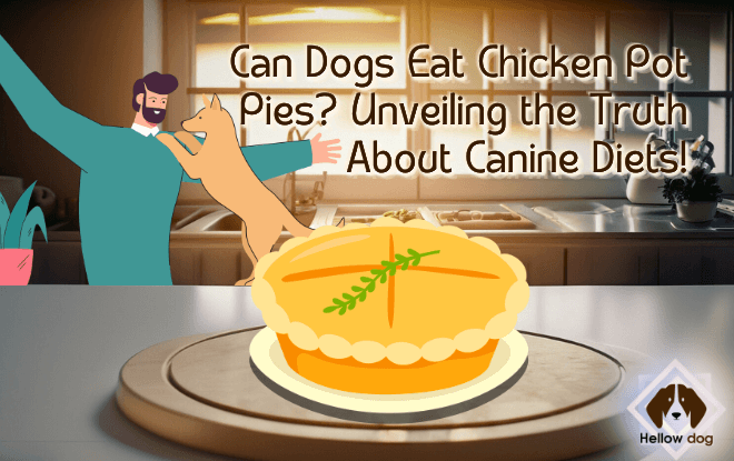 A curious dog sniffs a chicken pot pie, highlighting the question of whether it's safe for canine consumption.