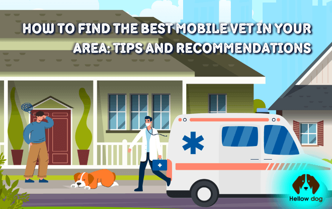 Mobile vet examining a dog - How to Find the Best Mobile Vet in Your Area.