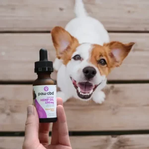 A bottle of organic CBD oil specially formulated for dogs.