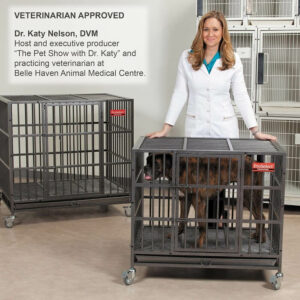 A sturdy and secure ProSelect Empire Cage designed for medium-sized dogs.
