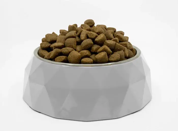 A close-up view of a bowl filled with high-quality dry dog food, showcasing a tempting array of nutritious kibble.