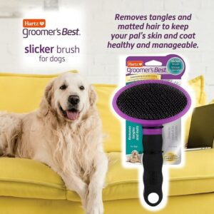 Hartz Groomer's Best Deshedding Slicker Dog Brush in Black/Violet for Dogs - A sleek and ergonomic grooming tool with fine bristles designed to effectively remove loose fur. Ideal for managing shedding and keeping your dog's coat in top condition.