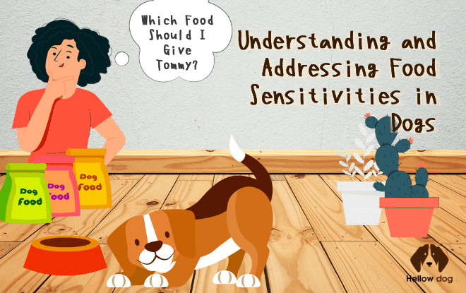 Illustration of a dog with a food bowl, representing food sensitivities in dogs