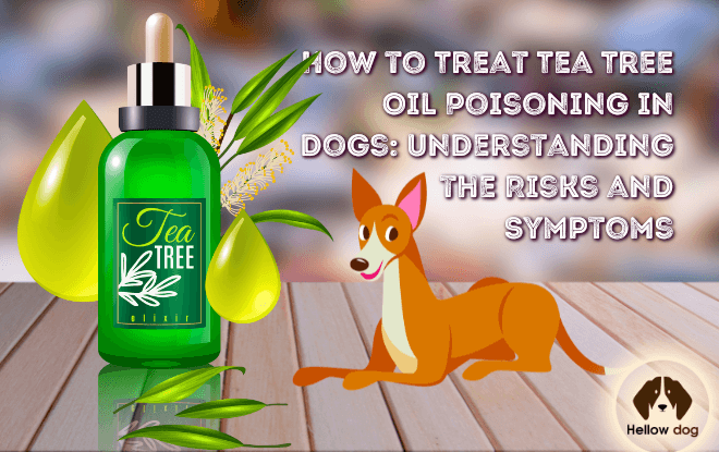 Veterinarian administering first aid to a dog - Learn how to treat tea tree oil poisoning in dogs, recognizing symptoms and minimizing risks for a swift recovery.