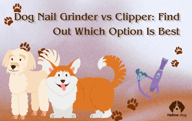 Comparison between a dog nail grinder and clipper.