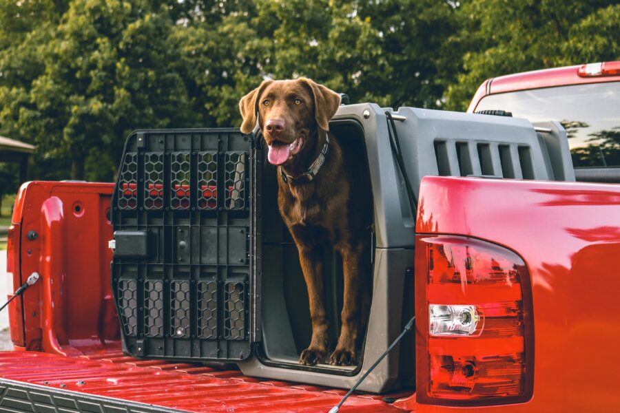 Dog crate size chart – how to choose the right crate for your dog