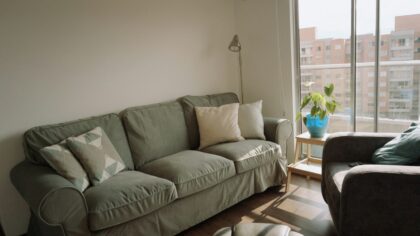 Apartment dog care guide for a calm, healthy city pup