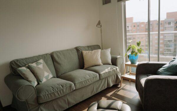 Apartment dog care guide for a calm, healthy city pup
