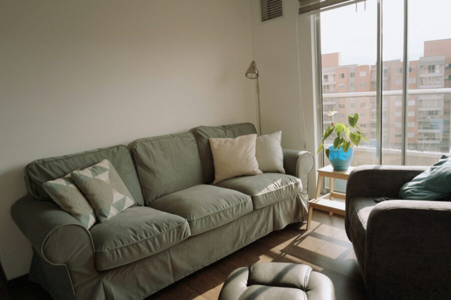 Dog apartment living room sofa window