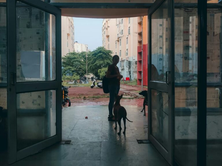 Dog playing indoors hallway toy person walking dog