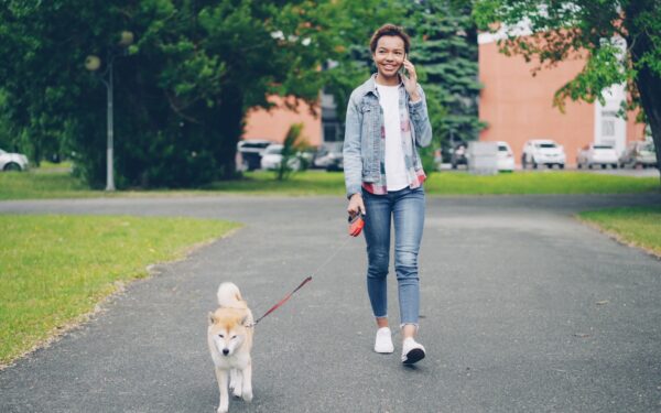 Building a simple daily wellness routine for your dog
