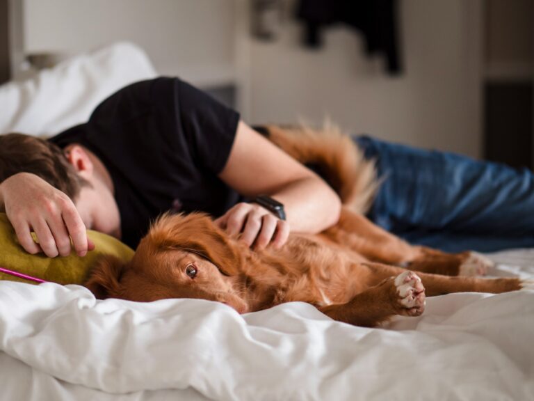Person greeting guest while dog stays bed