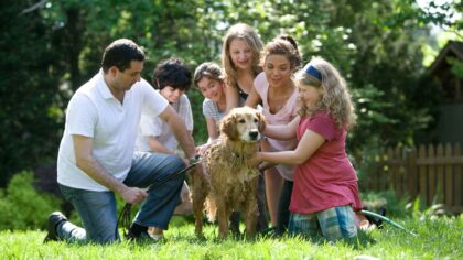 Common dog care myths that quietly harm your pet’s wellbeing