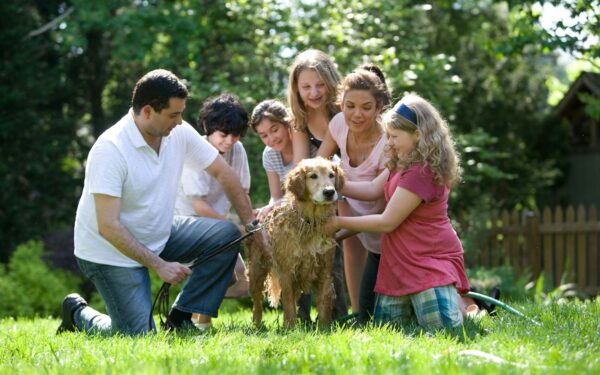 Common dog care myths that quietly harm your pet’s wellbeing