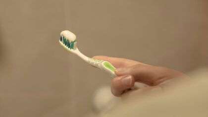 Daily dental care for dogs at home: brushing, chews and healthy routines