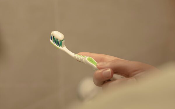 Daily dental care for dogs at home: brushing, chews and healthy routines