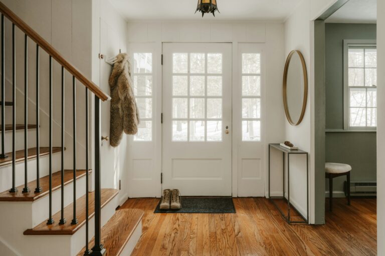 Muddy dog paws being cleaned home entryway