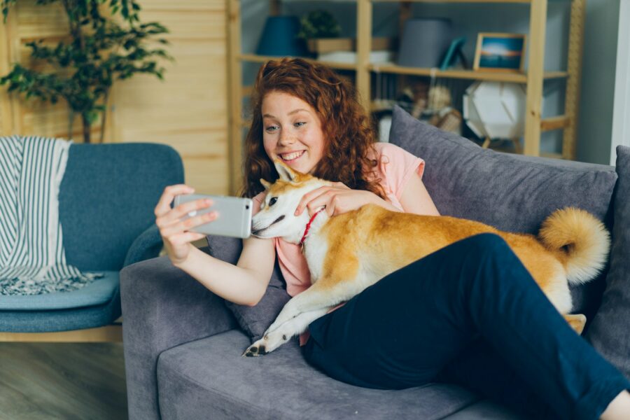Owner taking photo dog couch
