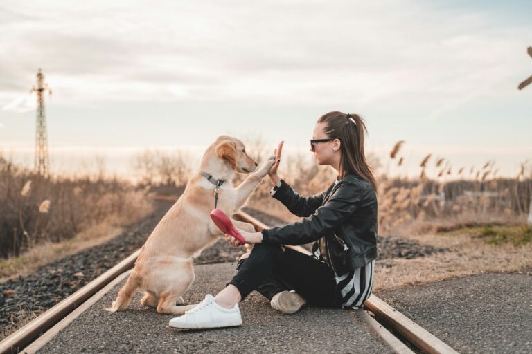 Dog leash sitting beside owner greeting friend