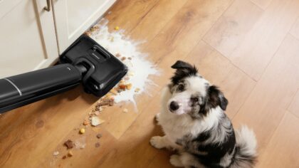 Home dog food safety basics: storing, handling and avoiding contamination