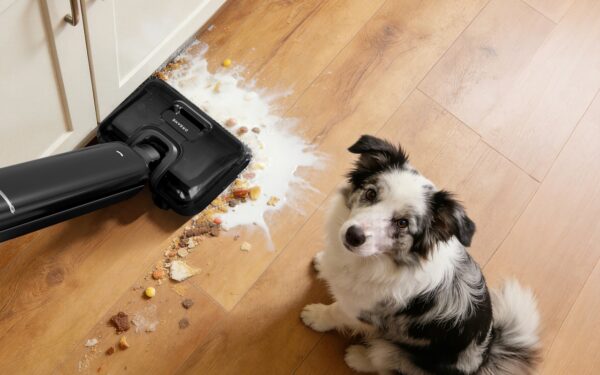 Home dog food safety basics: storing, handling and avoiding contamination