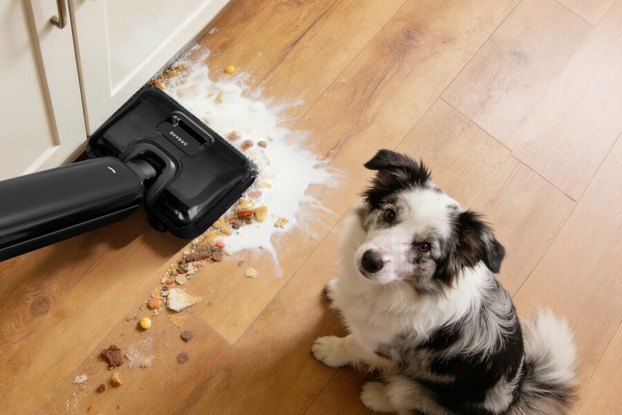 Dog kibble storage container kitchen floor