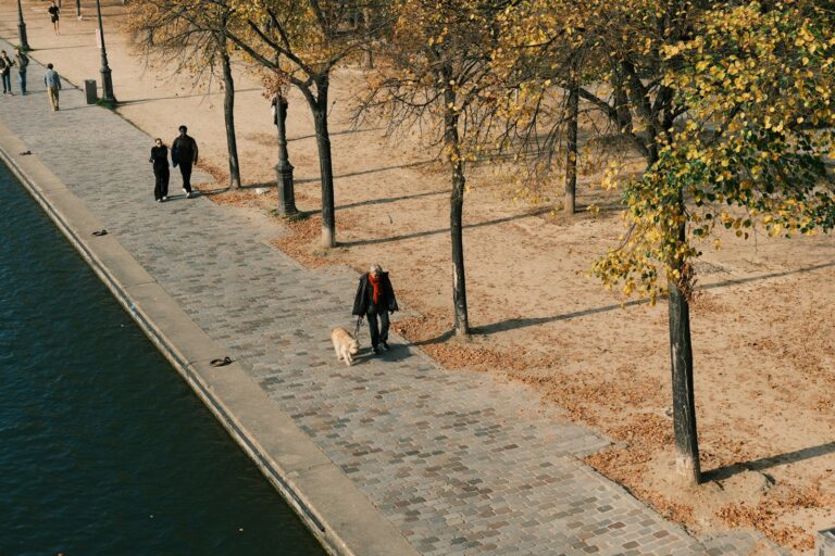 Owner walking dog quiet park dog sniffing snuffle