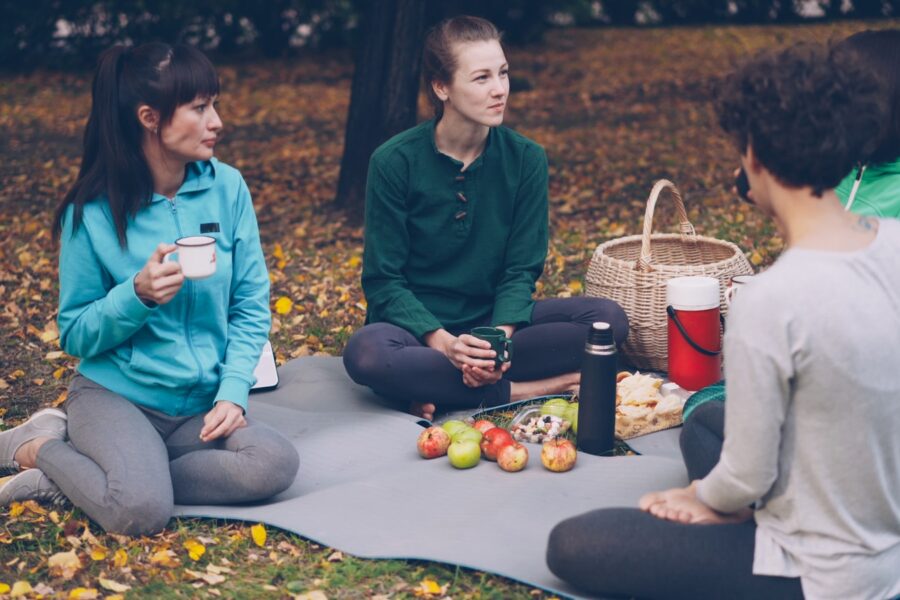 Dog picnic blanket park basket