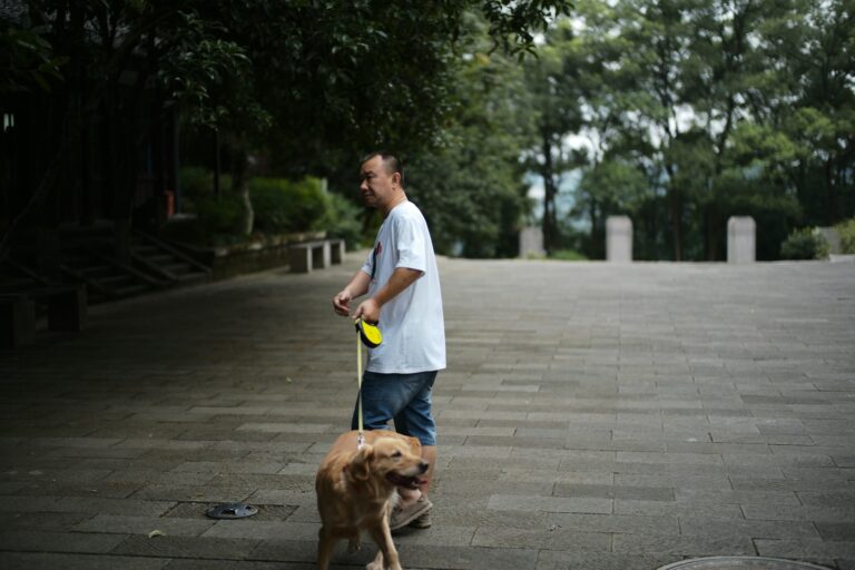 Owner walking dog park leash
